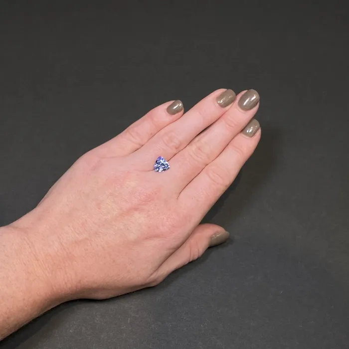 Trilliant Cut Fancy Tanzanite 268 Carats vendorunknown Rings