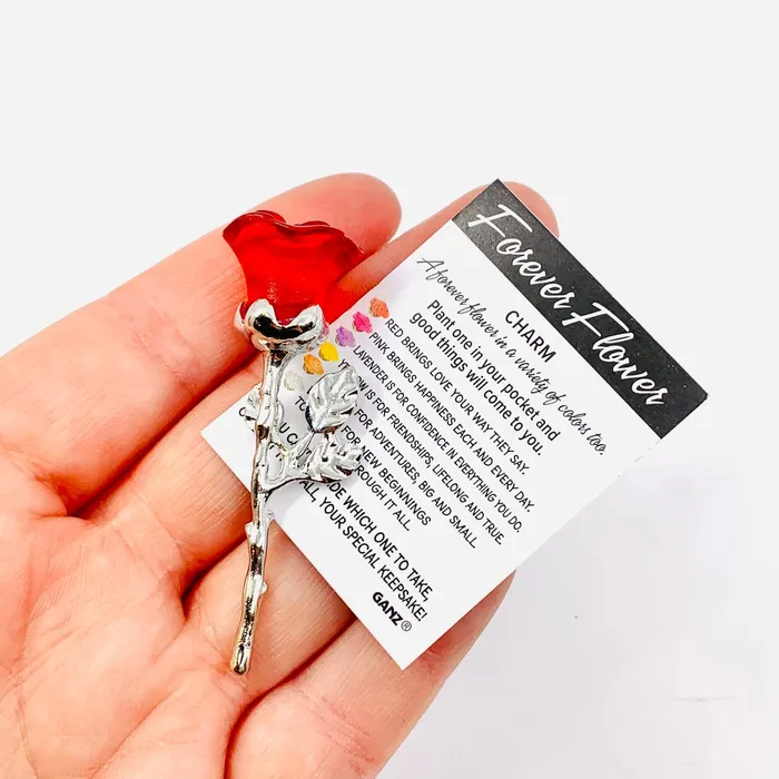 GANZ Charm Necklaces The Forever Flower Pocket Charm 130 White New Beginnings