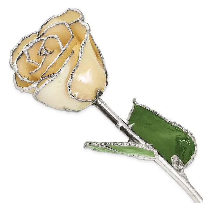Jewelry Lacquer Dipped Silver Trimmed White Rose Rings