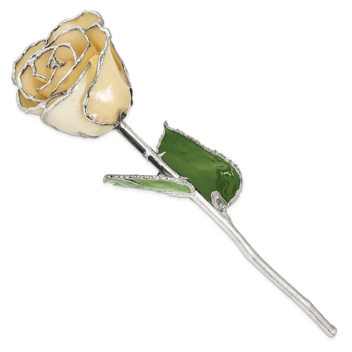 Jewelry Lacquer Dipped Silver Trimmed White Rose Rings