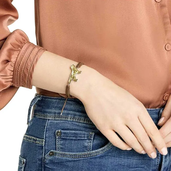 Swarovski Bracelets Swarovski Womens Bracelet Pets Golden Retriever Brown Textile Rope 5431410