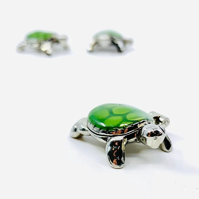 Turtle Wish Box Pocket Charm PT39 GANZ Charm Necklaces