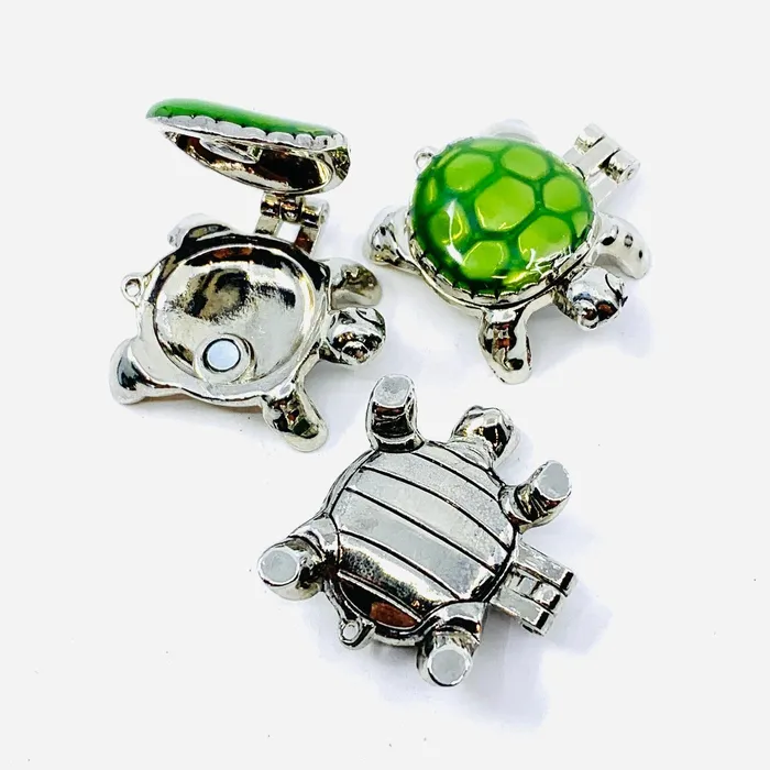 Turtle Wish Box Pocket Charm PT39 GANZ Charm Necklaces