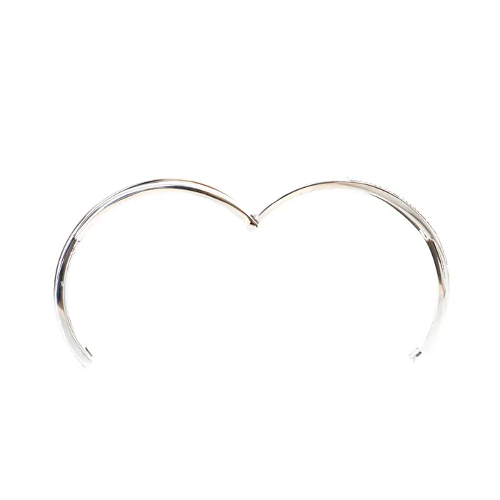 Bracelets Cerruti Cerruti Bangle Stainless Steel