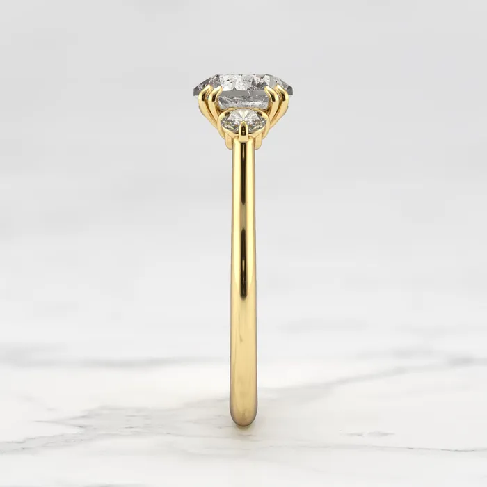 Capucinne Rings Round Salt Pepper Diamond Ring With Accent Stones