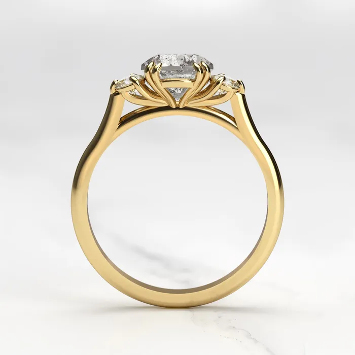 Capucinne Rings Round Salt Pepper Diamond Ring With Accent Stones