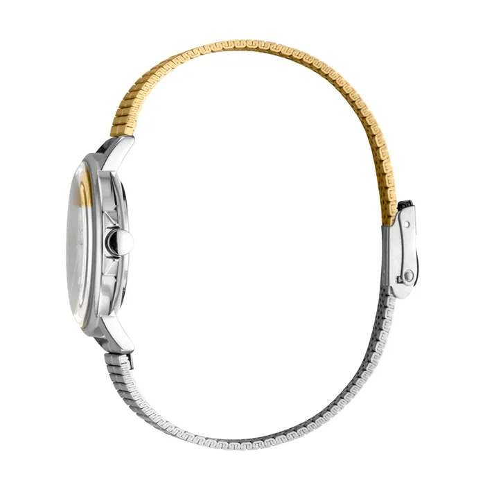Esprit Esprit Ladies Stainless Steel Watch 2Tone Dial Bicolor Mesh Bracelet Bracelets