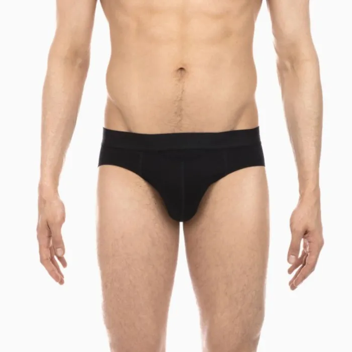 Rings Hanro Hanro Mens Hom Brief