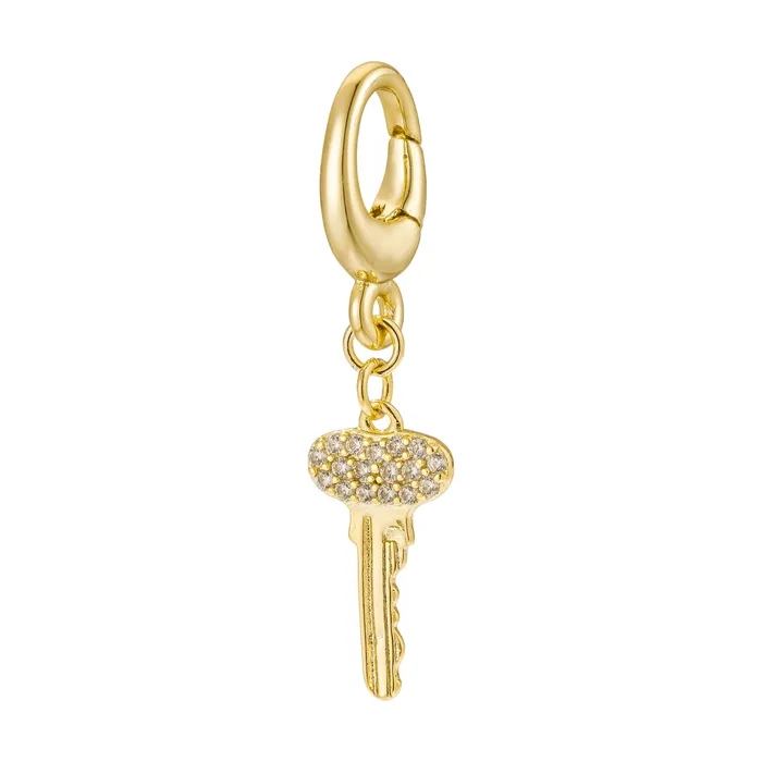 Untamed Petals Charm Necklaces Key Charm